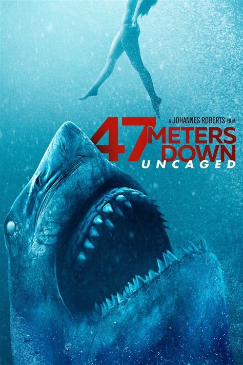 47 metres down imdb|47 meters deep full movie.